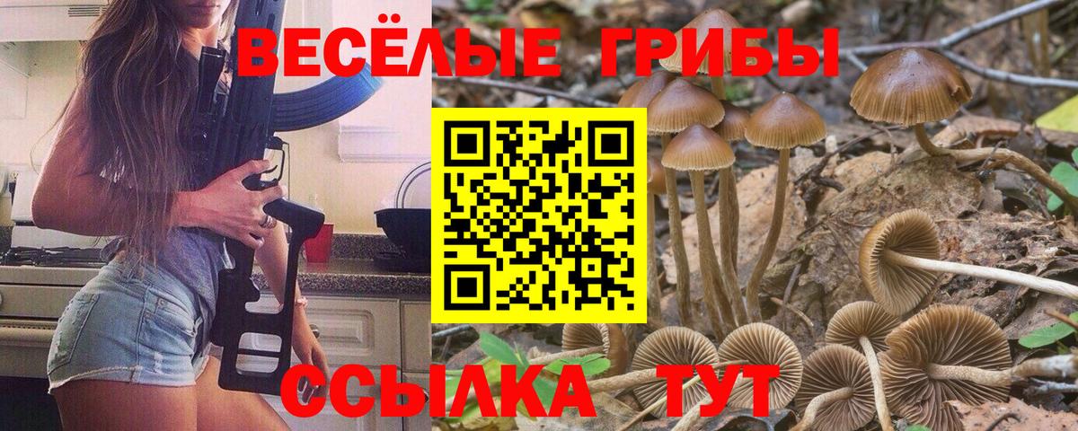 Екатеринбург  Галлюциногенные грибы прущие грибы  Вход с VPN 